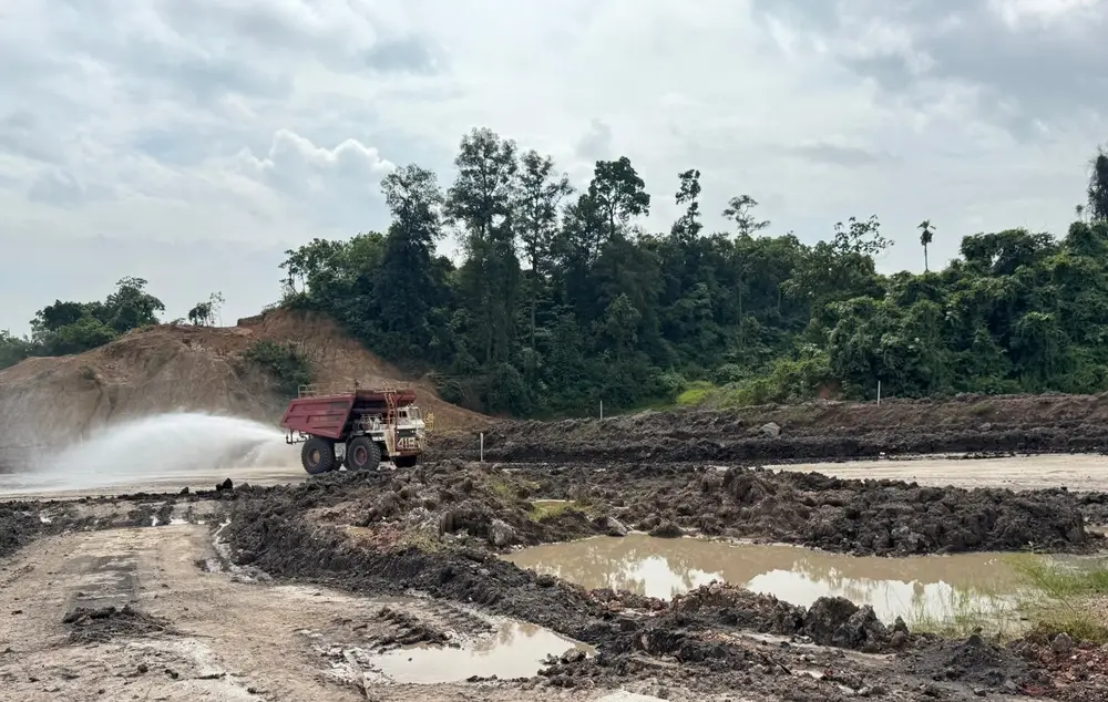 Deforestation in numbers