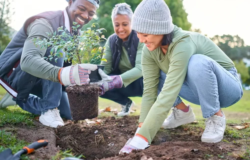 reforestation essential