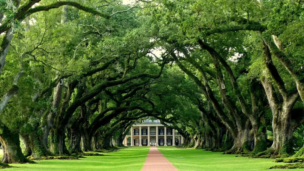 louisiana