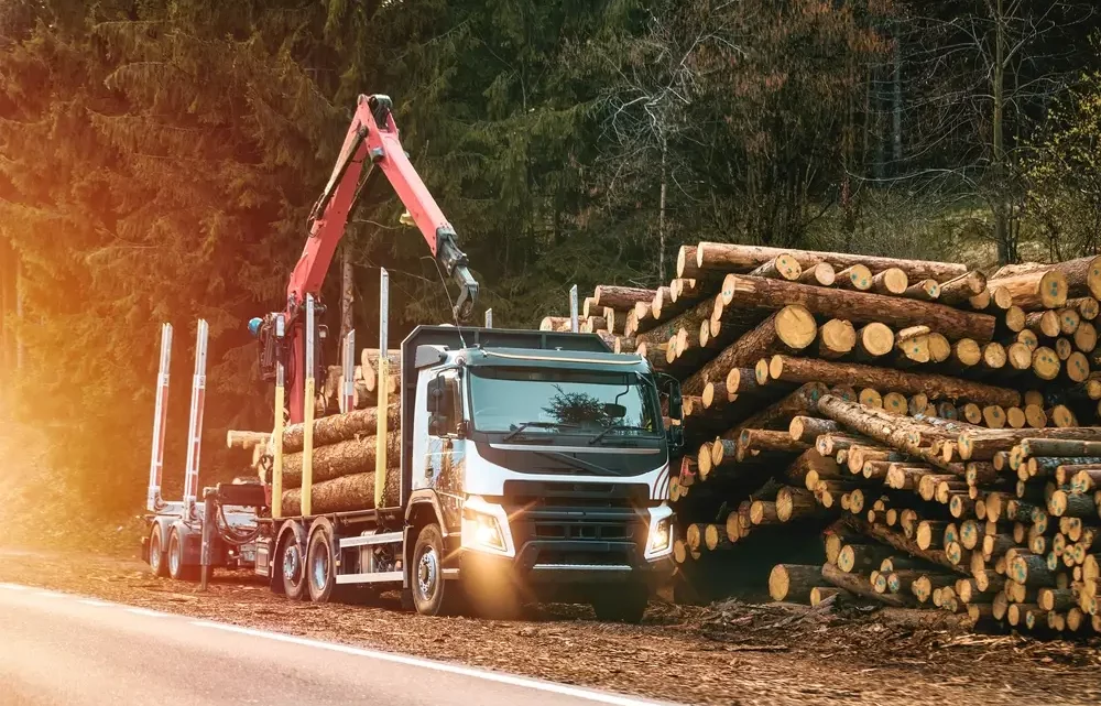 logging impacts